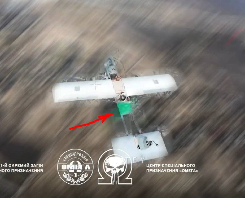 Иллюстрация 1