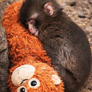 Иллюстрация 3