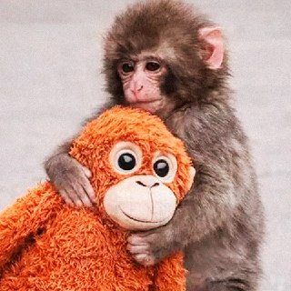 Иллюстрация 1