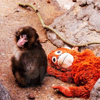 Иллюстрация 4