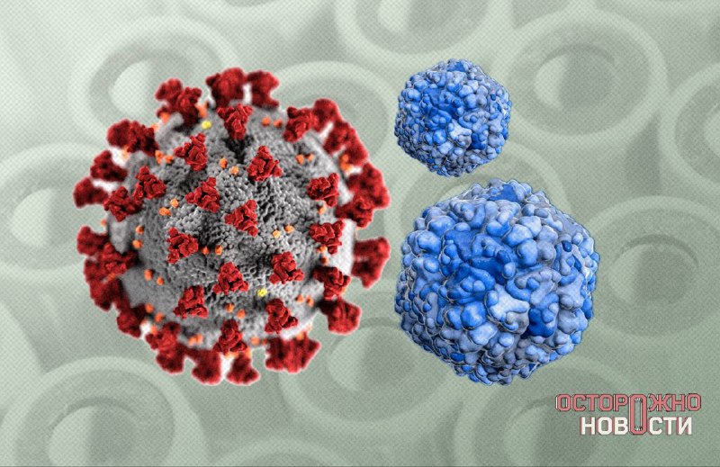 Весенние вирусы: прогноз эксперта