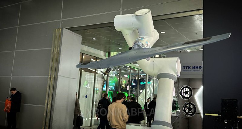 Иллюстрация 1