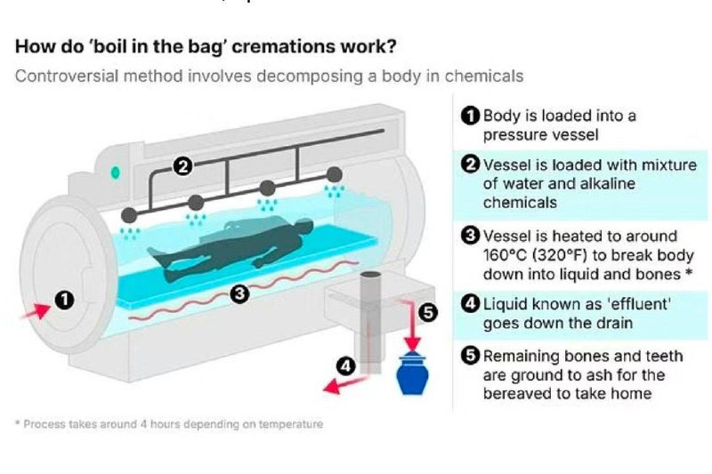 Иллюстрация 2