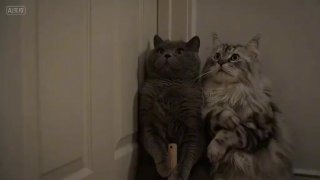 Иллюстрация 4