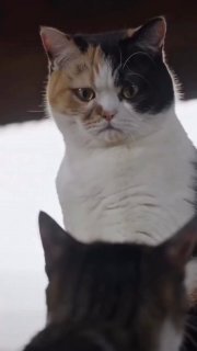 Иллюстрация 1