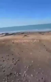 Морская пробка в Ормузском проливе