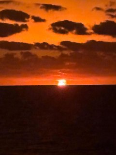 Иллюстрация 2