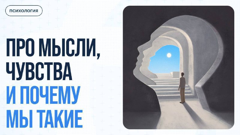 Парадокс IKEA: почему мы любим мебель, которую ненавидим собирать