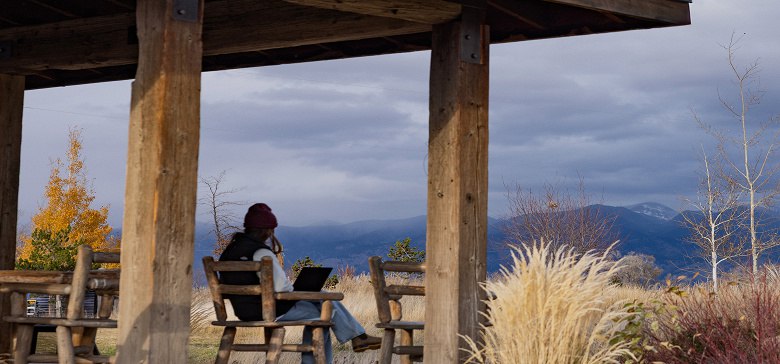 Рост числа пользователей Starlink в Украине