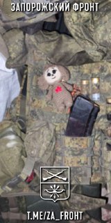 Обзор событий на Запорожском направлении СВО