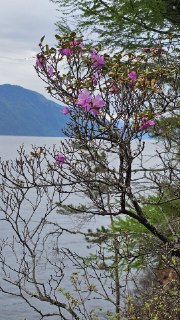 Иллюстрация 4