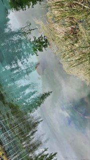 Иллюстрация 5