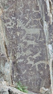 Иллюстрация 1