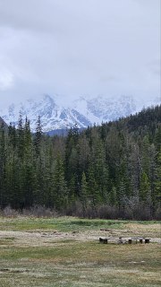 Иллюстрация 7