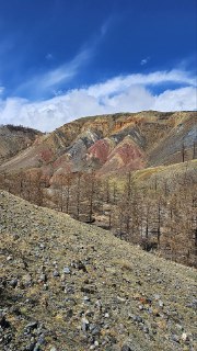 Иллюстрация 8