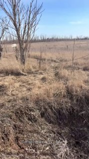 Иллюстрация 3