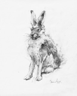 Иллюстрация 3