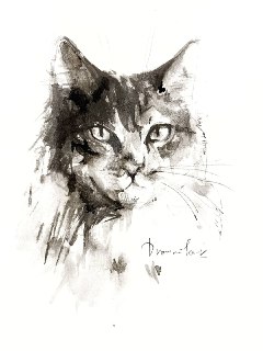 Иллюстрация 5