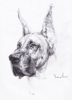 Иллюстрация 6