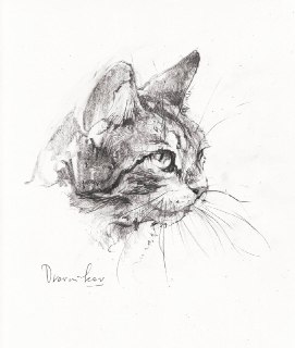 Иллюстрация 7