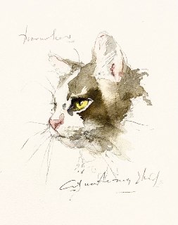 Иллюстрация 8