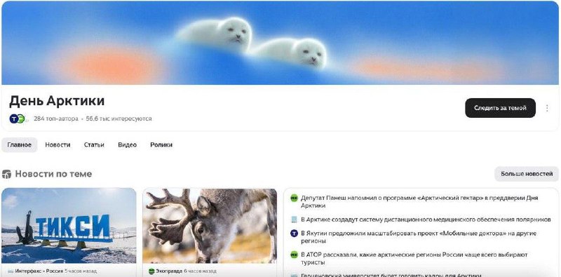 Дзен запустил проект о защите Арктики