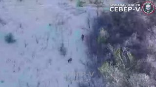 Уничтожение группы ВСУ под Часовым Яром