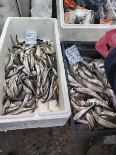 Рост цен на корюшку в Петербурге