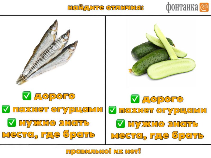 Иллюстрация 2