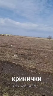 Иллюстрация 4