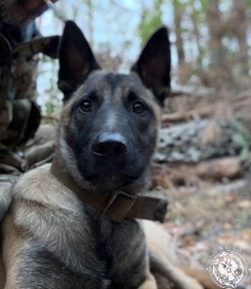 Иллюстрация 5