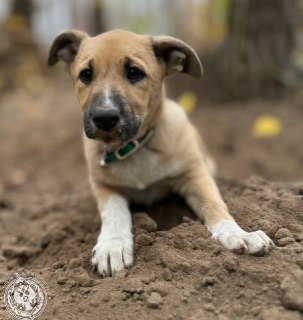 Иллюстрация 6