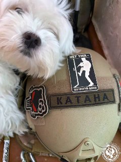 Иллюстрация 7