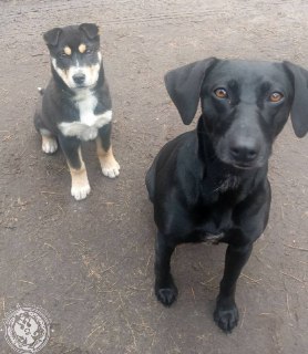 Иллюстрация 8