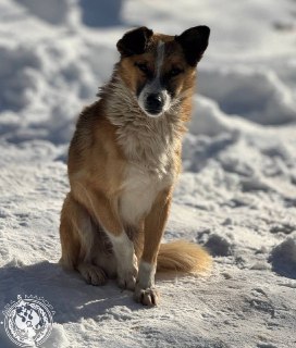 Иллюстрация 9