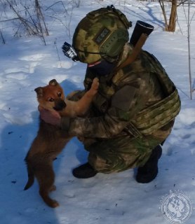 Иллюстрация 10