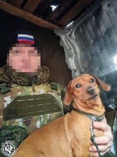 Иллюстрация 1