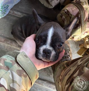 Иллюстрация 2