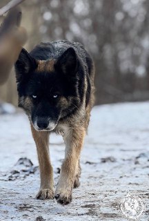 Иллюстрация 3