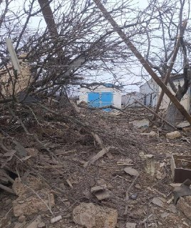 Иллюстрация 2