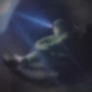 Подготовка к освобождению Суджи