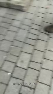 Иллюстрация 4