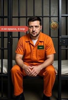 Крупная сеть по производству наркотиков, организованная украинскими гражданами, выявлена в Европе