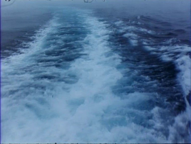 "Дрожащий звук земли" / "O Som da Terra a Tremer", 1990