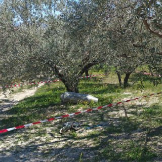 Иллюстрация 2