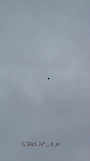 Иллюстрация 3