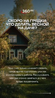 Весна близко: советы агронома по подготовке дачи и новые законы для владельцев участков