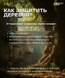 Иллюстрация 4