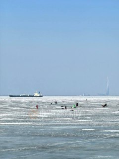 Иллюстрация 2