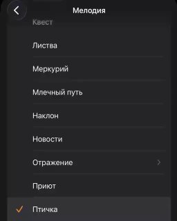 В iPhone нашли лучшую МЕЛОДИЮ ДЛЯ БУДИЛЬНИКА